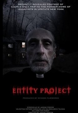 Entity Project