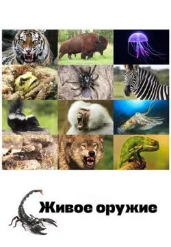 Арсенал животных