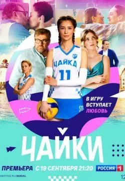 Чайки