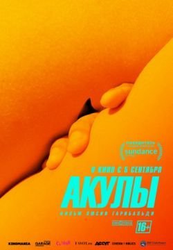 Акулы