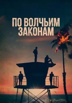 По волчьим законам