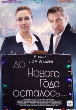 До Нового года осталось…