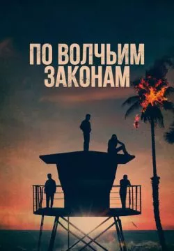 По волчьим законам