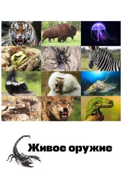 Арсенал животных
