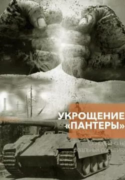 Укрощение «Пантеры»